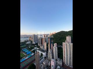 Tai Hang - Warrenwoods 03