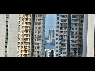 Hung Hom - Mangrove 05