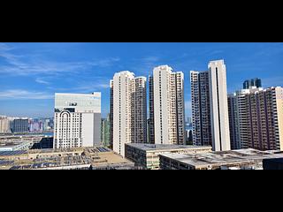 Hung Hom - Mangrove 06