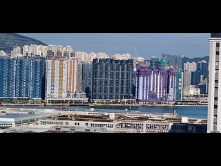 Hung Hom - Mangrove 07