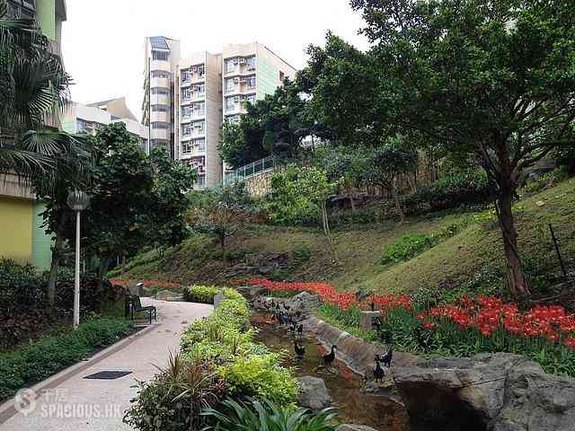 Chung Hom Kok - Lung Tak Court 01