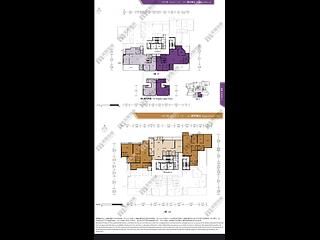 黃金海岸/掃管笏 - 星堤5座 20