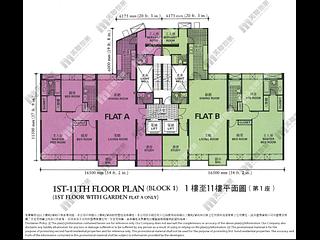 油柑头 - 新丽苑1座 13