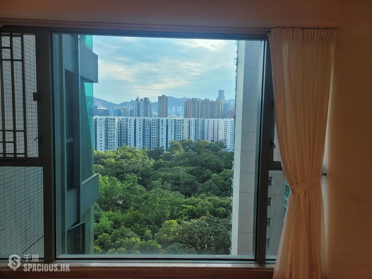 Hung Hom - Laguna Verde 01