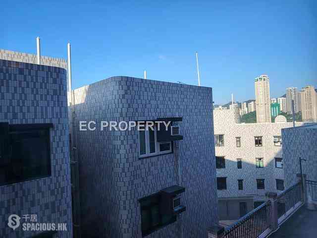 Stubbs Road - East Garden 01