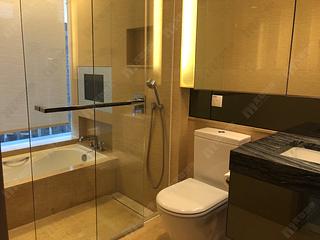 West Kowloon - The Cullinan (Tower 21 Zone 3 Royal Sky) 19