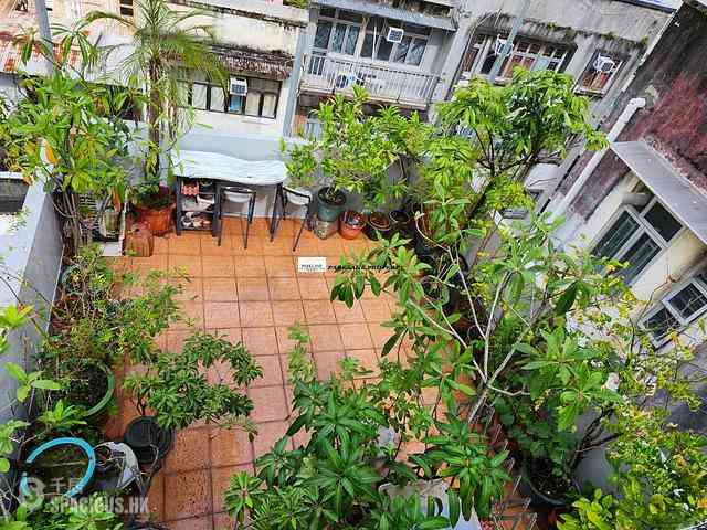 Causeway Bay - 3, Shepherd Street 01