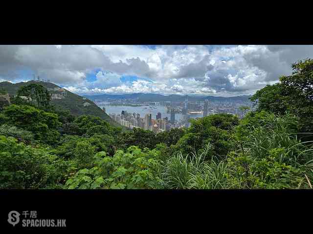 山頂 - 山景 種植道27號 01