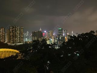 Tai Hang - Swiss Towers 10