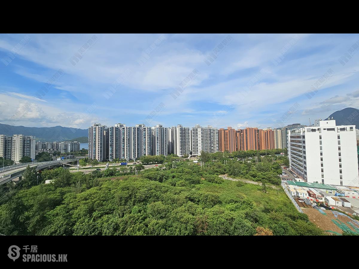 Tai Po - Silicon Hill 01