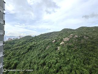 Tai Hang - Serenade 03