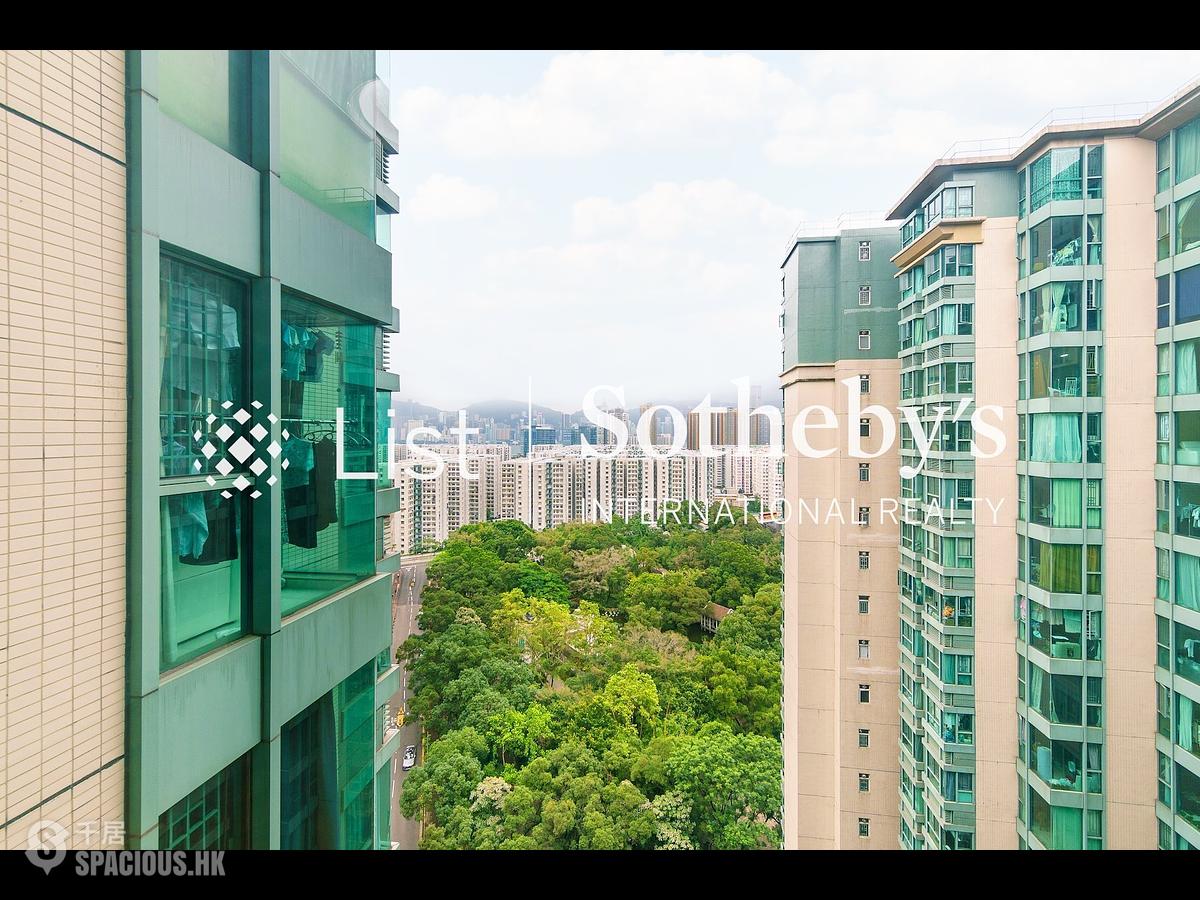 Hung Hom - Laguna Verde 01