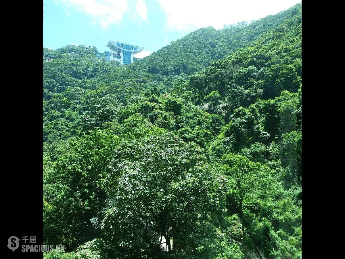 中半山 - 晓峰阁4座 01