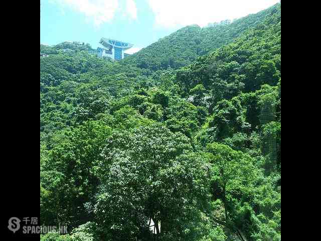 中半山 - 曉峰閣4座 01