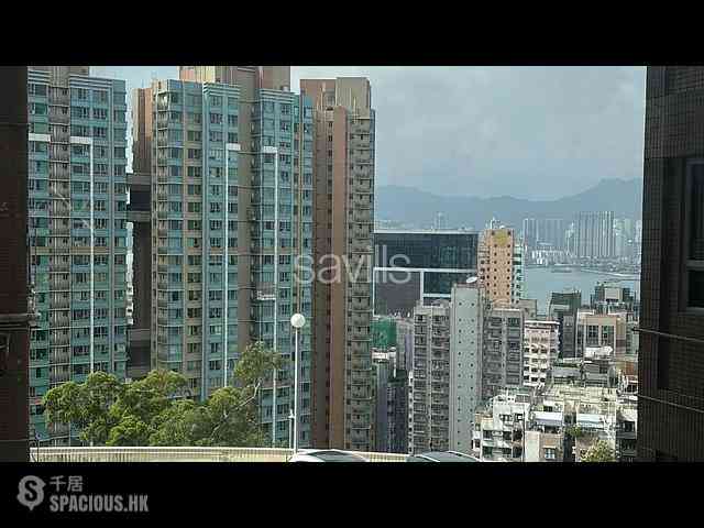 寶馬山 - 天寶大廈 04