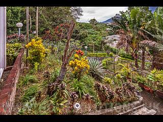 Mui Wo - Mui Wo (Village House) 15