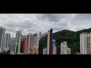 Tai Hang - The Warren 14