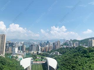 Happy Valley - Broadwood Park 06