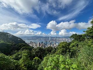 山頂 - 山景 種植道27號 03