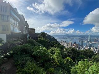 山頂 - 山景 種植道27號 04