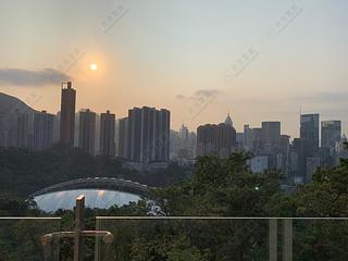 Tai Hang - Swiss Towers 07