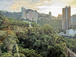 Wan Chai - Star Crest Block 1 06