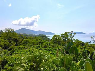 南大嶼山 - 長沙別墅 17