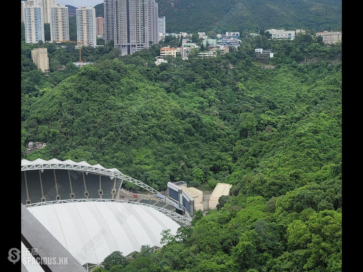 跑馬地 - 比華利山 01