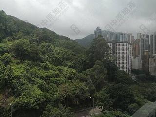 Tin Hau - The Pavilia Hill 03