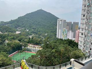 Pok Fu Lam - Mount Pokfulam 04