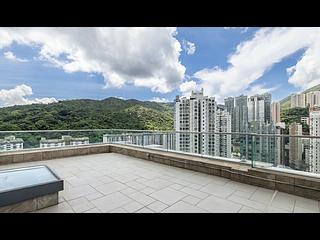 Tai Hang - Warrenwoods 05