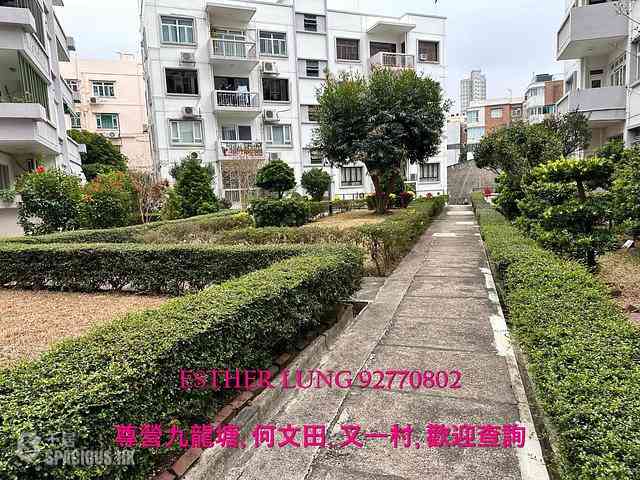 九龙塘 - 柏苑 01