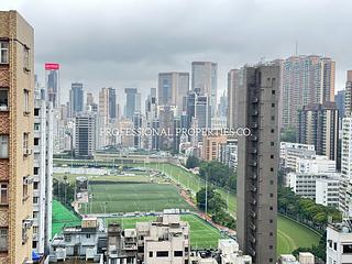 Happy Valley - Horace Court 10