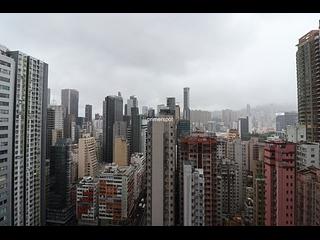 Wan Chai - The Avenue Phase 2 07