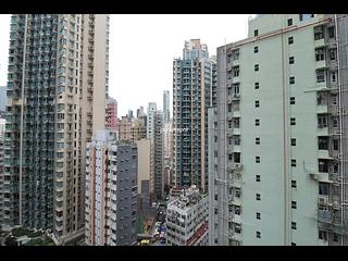 Wan Chai - The Avenue 06