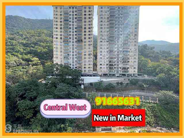 Mid Levels West - 55, Conduit Road 11