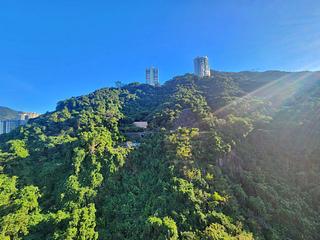 東半山 - 慧景台B座 05