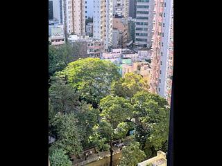 Sheung Wan - Nam Pak Hong Building 13