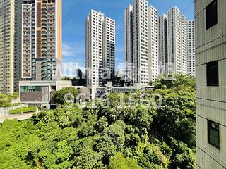 Happy Valley - Ventris Place 09