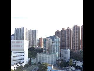 Causeway Bay - Park Haven 04