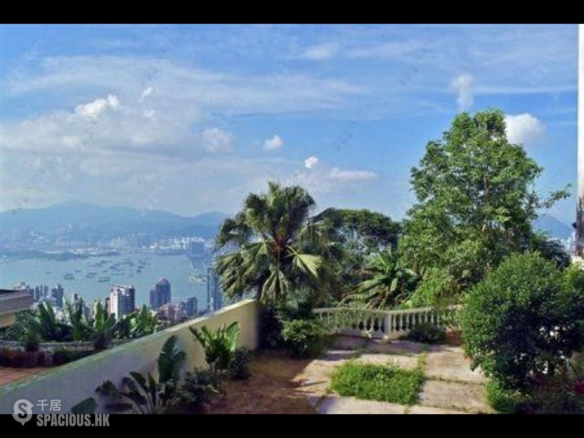 山顶 - 山景 种植道27号 01