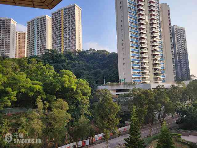 Tai Hang - Elm Tree Towers 01