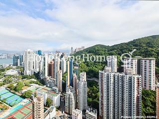 Tai Hang - Warrenwoods 02