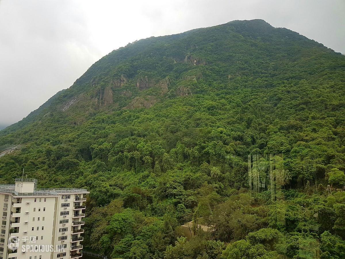 西半山 - 富景花園 01