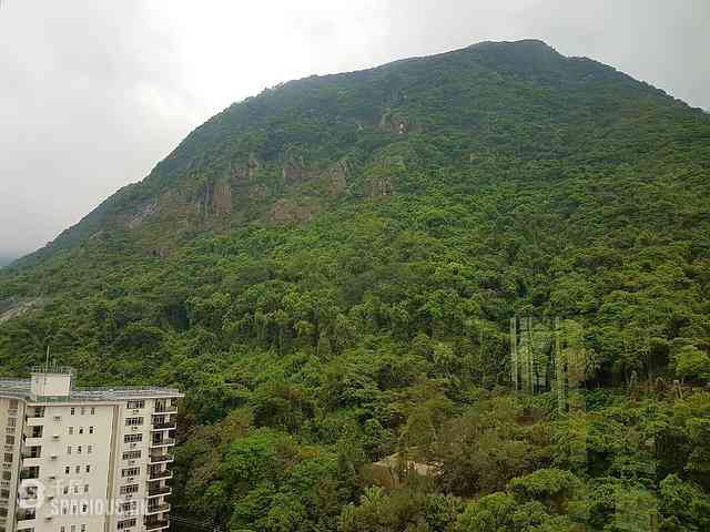 西半山 - 富景花園 01