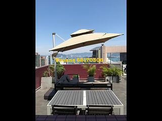 Noho - Hollywood Terrace 02