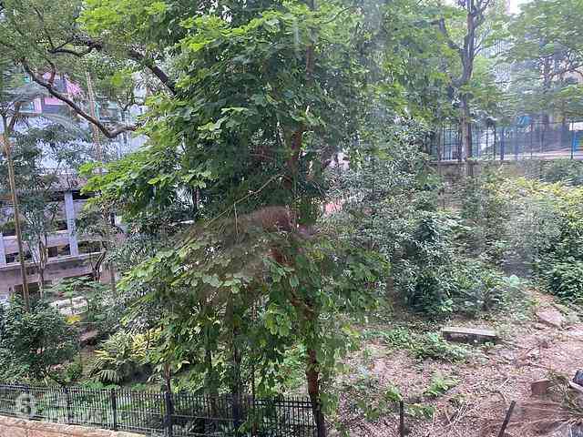 Mid Levels West - Hing Wah Mansion 03