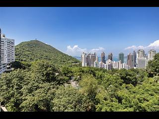 Pok Fu Lam - Pokfulam Peak 04