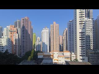 Sai Ying Pun - The Summa 04