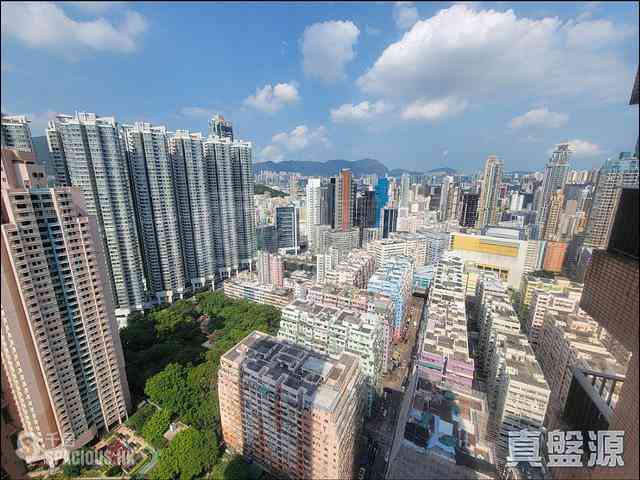 Tai Kok Tsui - Harbour Green Tower 5 04